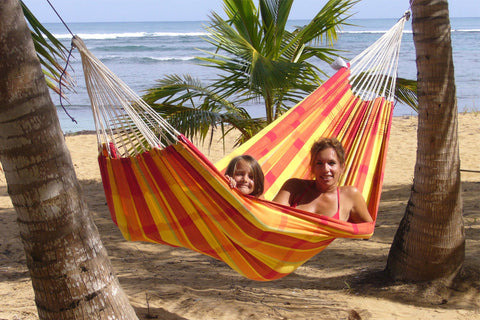 Barbados Papaya Hammock